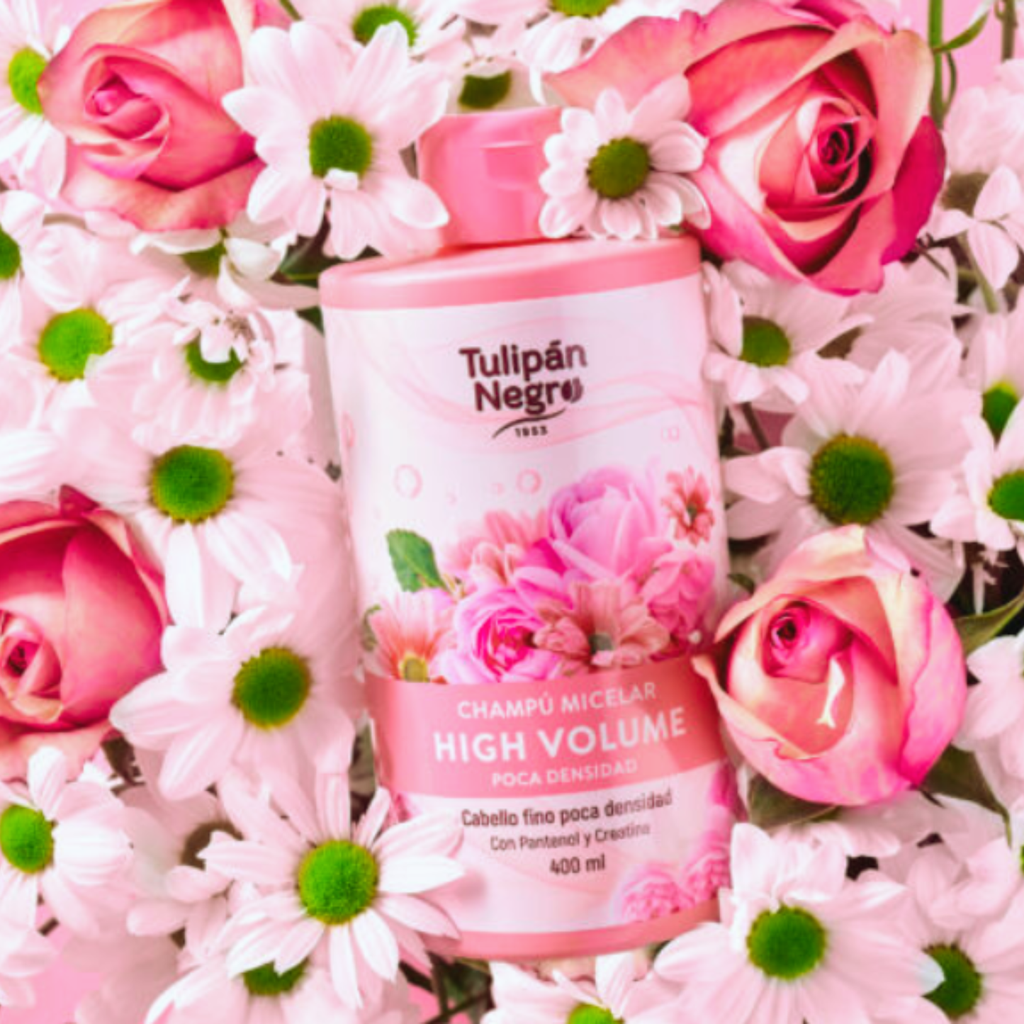 Champú Micelar High Volume - Tulipán Negro