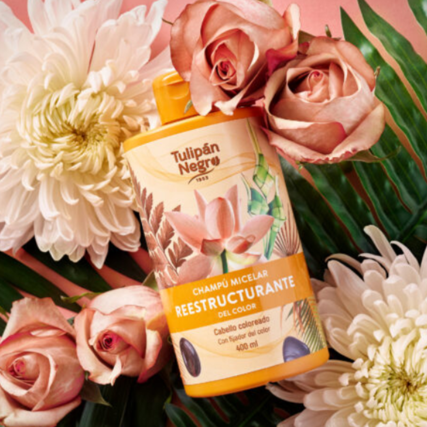 Champú Micelar Reestructurante del Color - Tulipán Negro